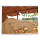 Pesquisar por elefante calendarios Natureza