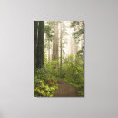 Pesquisar por idílico impressão de canvas Sem pessoas