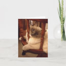 Pesquisar por peluche fotografia Qualquer pessoa