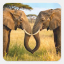 Pesquisar por safari africano adesivos Qualquer pessoa