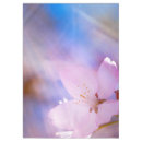 Pesquisar por flores flor cereja toalhas de mesa Rosa