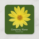 Pesquisar por foto do girassol cartao de visita Flor