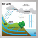 Pesquisar por ciclo da água pósteres Educação