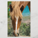 Pesquisar por cavalos flyers Animal