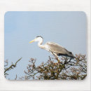 Pesquisar por wild eletronicos Aves