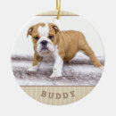 Pesquisar por papoila ornamentos Foto