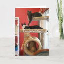 Pesquisar por conde cartoes postais Casal