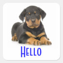 Pesquisar por rottweiler adesivos Cachorrinho
