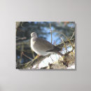 Pesquisar por fotografia do inverno impressão de canvas Aves