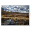 Pesquisar por pantanal cartoes Qualquer pessoa