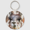 Pesquisar por chaveiro do lama chaveiros Para todos