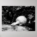 Pesquisar por lobo abstrato pôsteres pósteres Natureza