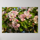 Pesquisar por pretty pôsteres pósteres Qualquer pessoa