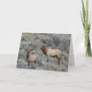 Pesquisar por adam jones cartoes Alce