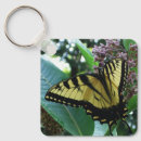 Pesquisar por borboleta marrom chaveiros Natureza
