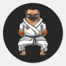 Pesquisar por jiu jitsu engraçado materiais festa Muay thai