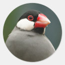 Pesquisar por buchas adesivos Picadas