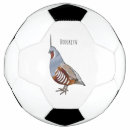 Pesquisar por ilustração bola futebol Pássaro