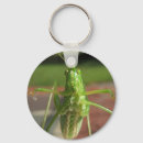 Pesquisar por foto natureza chaveiros Macro
