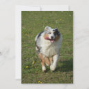 Pesquisar por bunda cartoes Moderno