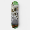 Pesquisar por koala skates Bonito