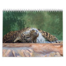 Pesquisar por exótico calendarios Animais