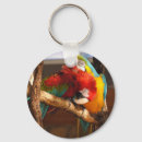 Pesquisar por papagaio azul chaveiros Macaw