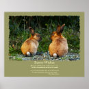 Pesquisar por wabbit Animais