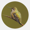 Pesquisar por anna adesivos Colibri