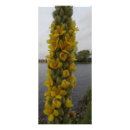 Pesquisar por flor panfletos Qualquer pessoa