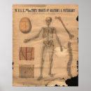 Pesquisar por esqueletal pôsteres pósteres Anatomia