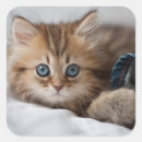 Pesquisar por olhos azuis adesivos Dentro