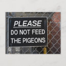 Pesquisar por pomba cartoes postais Pombo