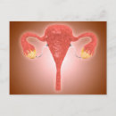 Pesquisar por órgãos humanos cartoes postais Saúde