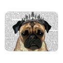 Pesquisar por pug cozinha imas Animais