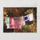 Pesquisar por autômato cartoes postais Folhagem