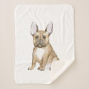 Pesquisar por bulldog mantas Pet