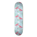 Pesquisar por pássaros exóticos skates Selva