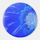 Pesquisar por gerberas imas Azul