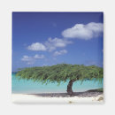 Pesquisar por aruba imas Oceano