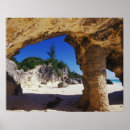 Pesquisar por bermudas pôsteres pósteres Tropical