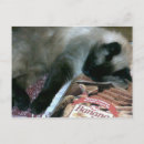 Pesquisar por animais domesticados cartoes postais Gatos