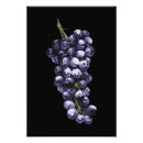 Pesquisar por uvas para vinho pôsteres pósteres Para ela