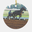 Pesquisar por competência ornamentos Cavalo