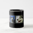 Pesquisar por huskies canecas Husky siberiano