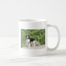 Pesquisar por springer spaniel canecas Filhote de cachorro