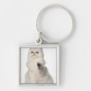 Pesquisar por gato persa chaveiros Animal
