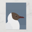 Pesquisar por pássaro marinho cartoes postais Para ela