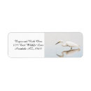 Pesquisar por egrets Vida selvagem