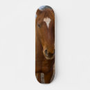 Pesquisar por cavalos skates Qualquer pessoa